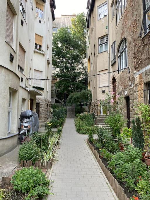 Tiny Private Apartment In Central Buda. Budapešť Exteriér fotografie